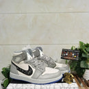 Air Jordan 1 Retro High Dior