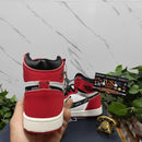 Air Jordan 1 Retro High Dior Chicago