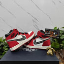 Air Jordan 1 Retro High Dior Chicago