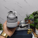 Air Jordan 1 Retro Low Dior