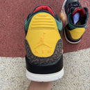 Air Jordan 3 Retro SE Animal Instinct 2.0