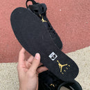 Air Jordan 6 Retro DMP