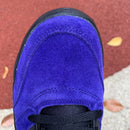 Air Jordan 5 Retro Alternate Grape