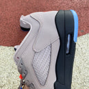 Air Jordan 5 Retro Low PSG