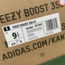 Adidas Yeezy Boost 350 V2 Mono Ice