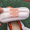 Air Jordan 1 Retro High Starfish