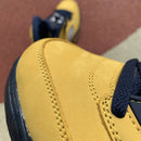 Air Jordan 5 Retro Michigan