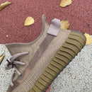Adidas Yeezy Boost 350 V2 Earth