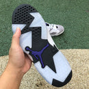 Air Jordan 6 Retro Flight Nostalgia