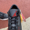 Air Jordan 3 Retro SE Animal Instinct 2.0